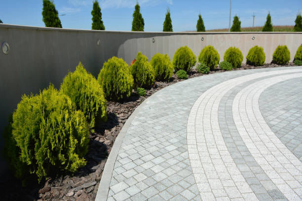 Best Custom Driveway Pavers  in Rosedale, MS